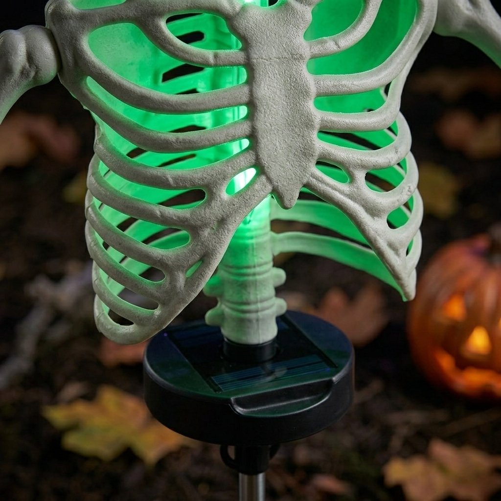 Solar skeleton garden stake light with LED illumination