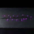 Halloween LED Twig Garland with Pumpkin or Bat Lanterns, Battery Operated, 6 ft — 18 Bats Vine Lanterns