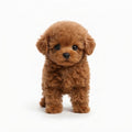 Interactive Plush Puppy Toy with Sound and Movement — Brown