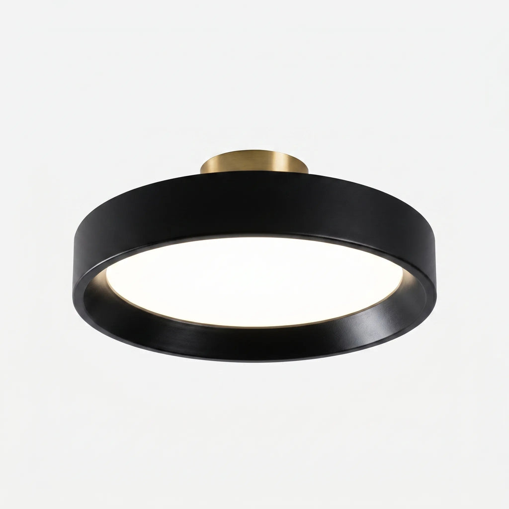 Oviron™ -  Modern Flush Mount -  Overhead Room Lighting