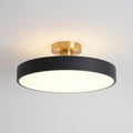 Oviron™ -  Modern Flush Mount -  Overhead Room Lighting