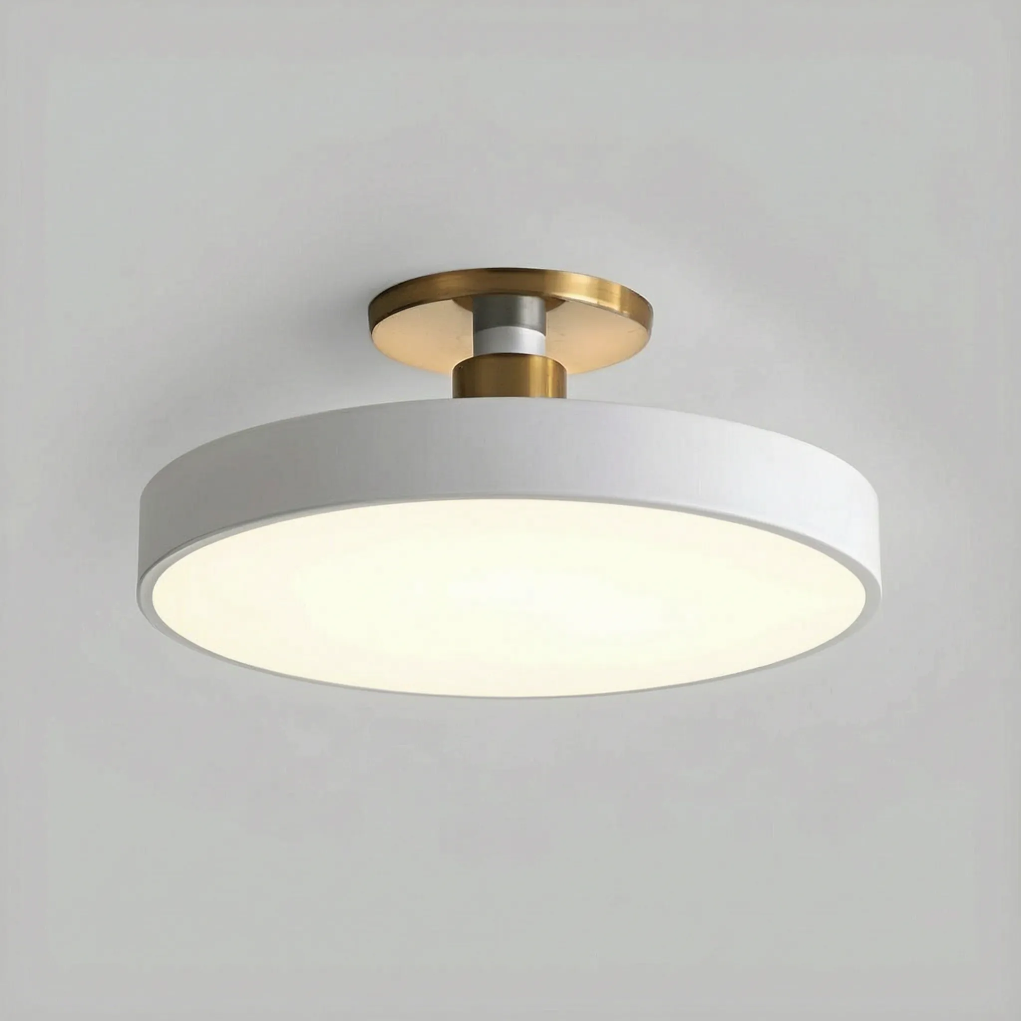 Oviron™ -  Modern Flush Mount -  Overhead Room Lighting