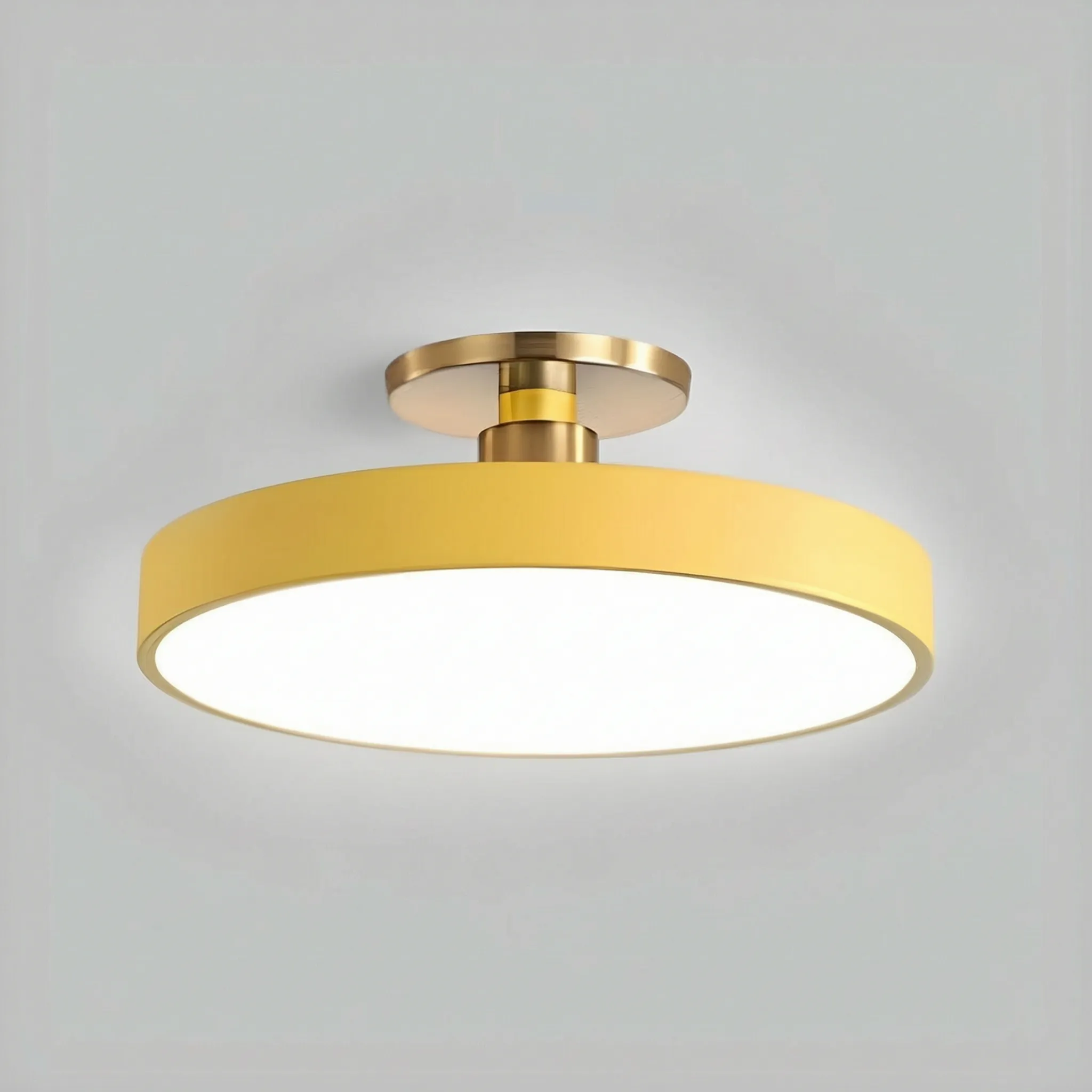 Oviron™ -  Modern Flush Mount -  Overhead Room Lighting