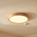 Scandis™ -  Round Flush Mounted Ceiling Light -  Illuminating Living Rooms